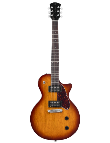 LARRY CARLTON L3 HH TS SC Archtop RN