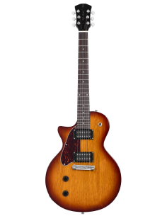 LARRY CARLTON L3 HH LH TS SC Archtop RN