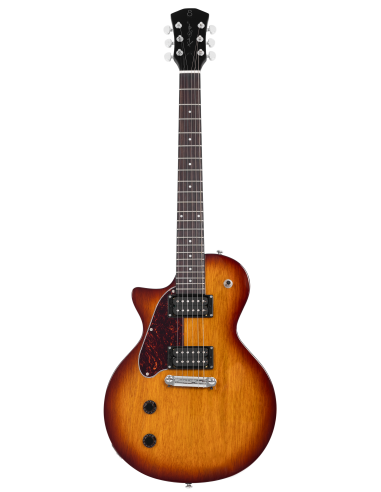 LARRY CARLTON L3 HH LH TS SC Archtop RN