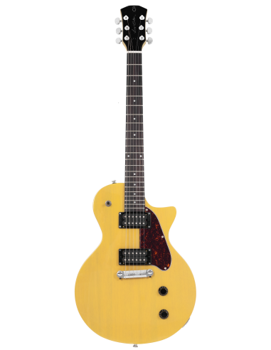 LARRY CARLTON L3 HH TVY SC Archtop RN