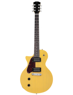 LARRY CARLTON L3 HH LH TVY SC Archtop RN