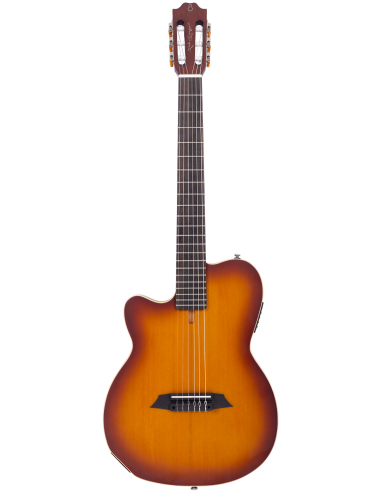 LARRY CARLTON G5N LH TS.S