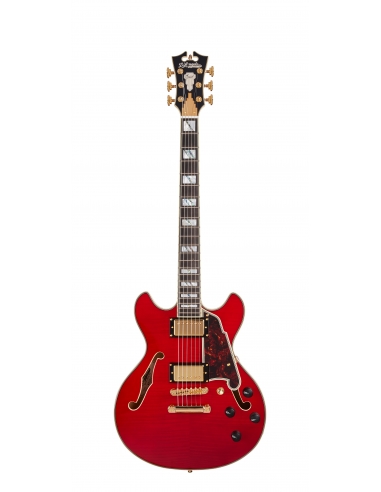 D'ANGELICO Excel Mini DC Trans Cherry