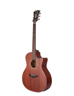 D'ANGELICO Premier Gramercy LS Mahogany Satin