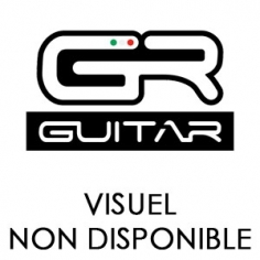 GR GUITAR GR G112 TR Baffle Guitare