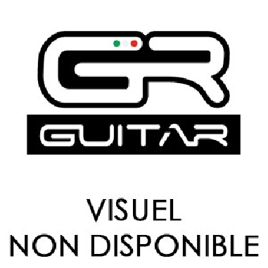 GR BASS GR CUBE Acoustic