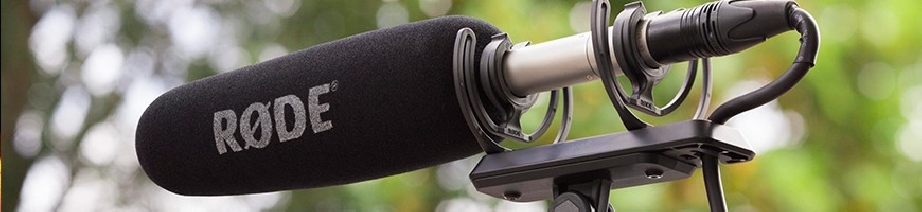 Microphone de jeu, Microphone à condensateur RS1